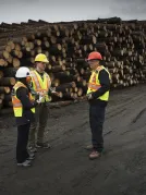 An image representing forestry industry with 3 people wearing head gear and ear protection around wood logs